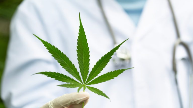 Reasons To Schedule An Appointment With A Medical Marijuana Doctor In Panama City, FL