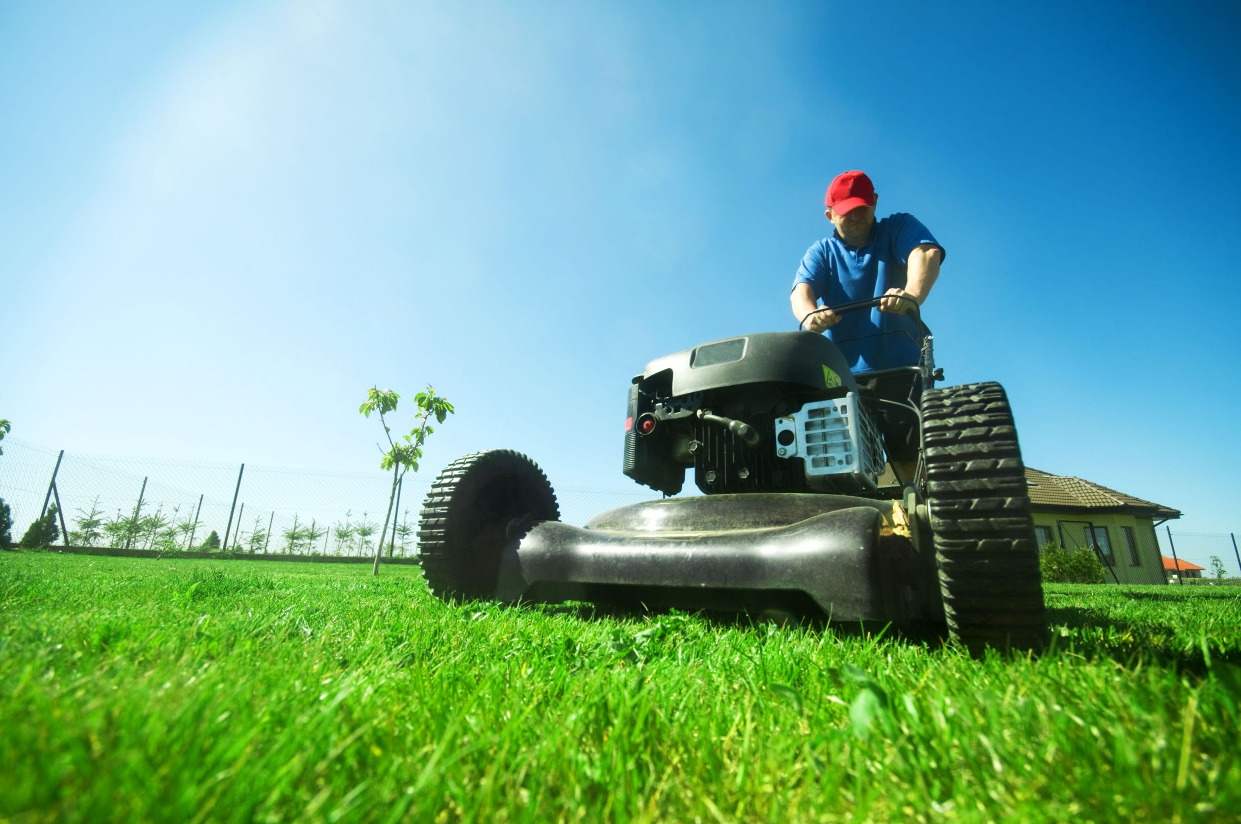 Why You Should Consider Lawn Fertilization in Prospect, KY