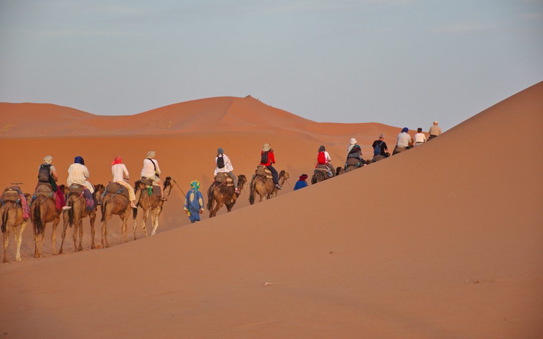 Find Your Perfect Adventure With a Marrakech Travel Agency