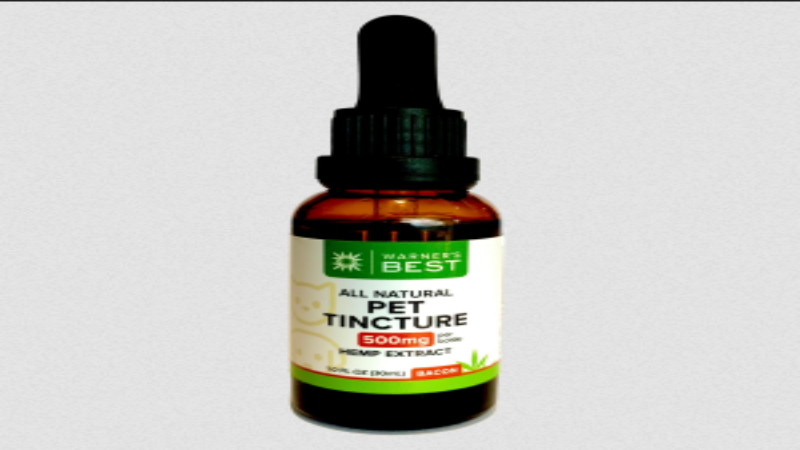 The Benefits of Using CBD Pet Tinctures in Connecticut for Your Dogs