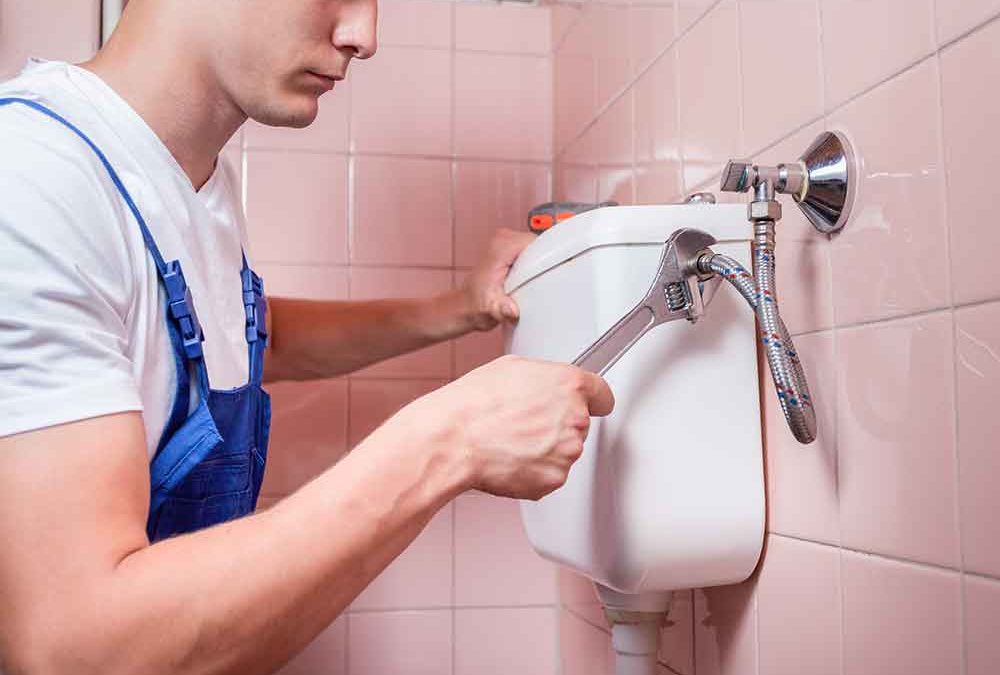 The Value of Consistent Drain Upkeep: Drain Cleaning Services in Palm Harbor, FL