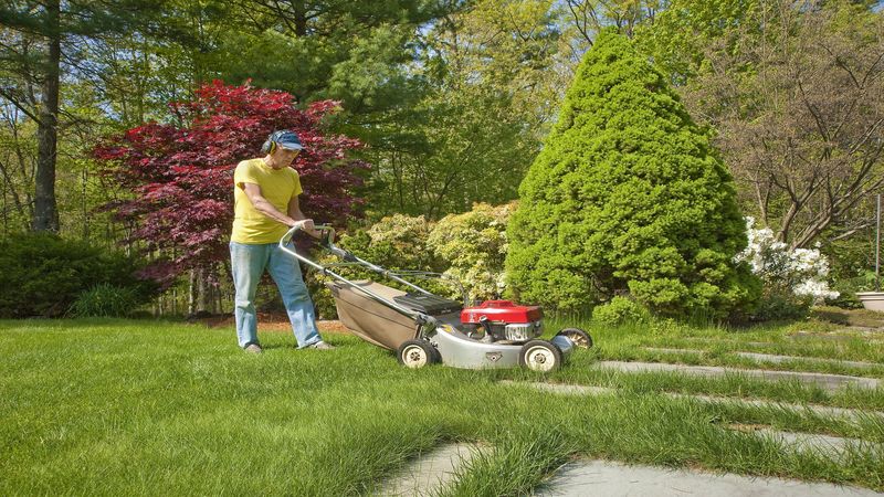 Ultimate Guide to Lawn Care Maintenance Services in Haymarket VA