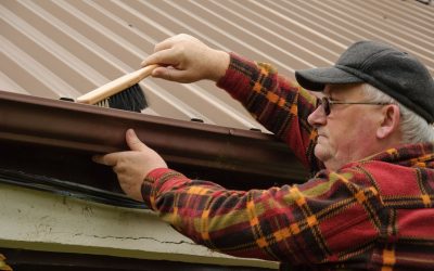 Enhance Curb Appeal With Professional Gutter Guards Installation Branford CT Services