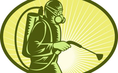 Comprehensive Pest Inspection in Newnan, GA: Protecting Your Home Effectively
