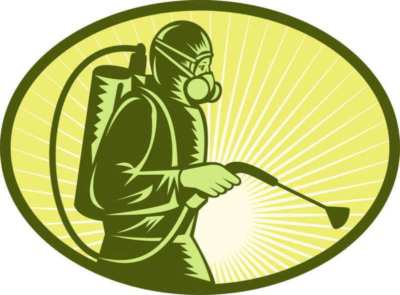 Comprehensive Pest Inspection in Newnan, GA: Protecting Your Home Effectively
