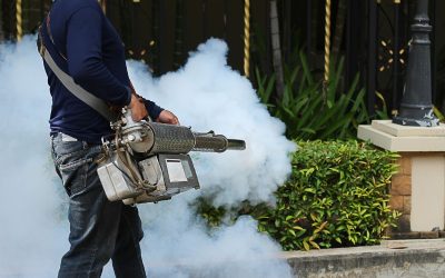 Enjoy Outdoor Living Again With Effective Mosquito Control Fort Myers FL Solutions