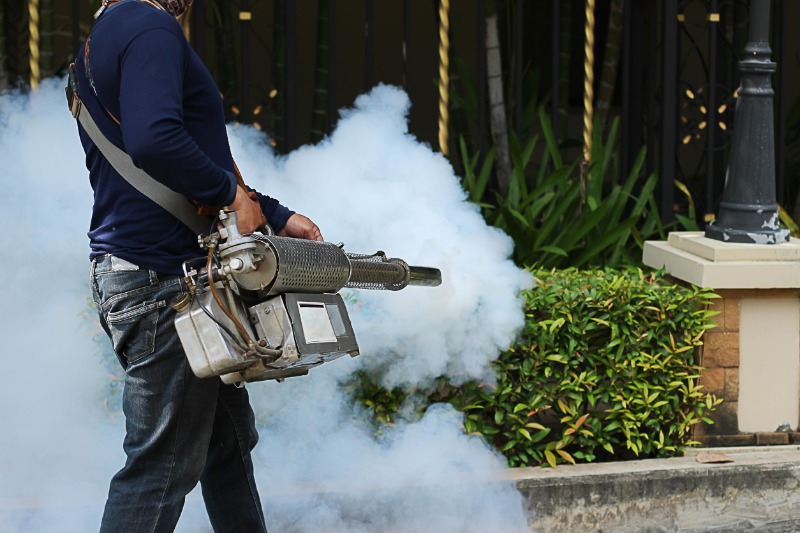 Enjoy Outdoor Living Again With Effective Mosquito Control Fort Myers FL Solutions