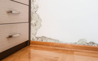 Homeowners Rely On Restoration Companies In Carmel IN For Fast Water Damage Recovery