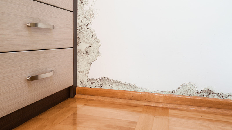 Homeowners Rely On Restoration Companies In Carmel IN For Fast Water Damage Recovery