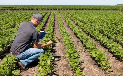 Find Fresh Solutions for Sourcing Wholesale Agriculture Products, Pittsburgh, PA, Farmers Trust