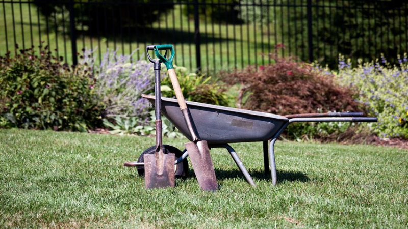 Lawn Aeration in Olive Branch, MS: Boost Your Grass Health Today