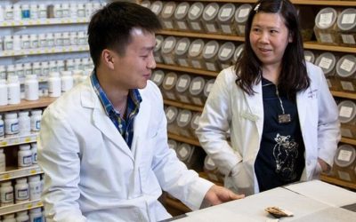 What to Expect From an Acupuncture School Experience in the USA