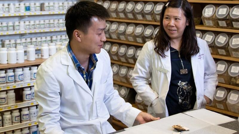 What to Expect From an Acupuncture School Experience in the USA