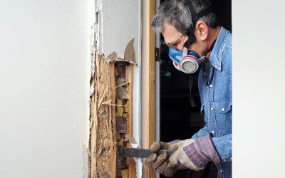 Restore Curb Appeal with Reliable Rotten Wood Repair Services in Ann Arbor, MI