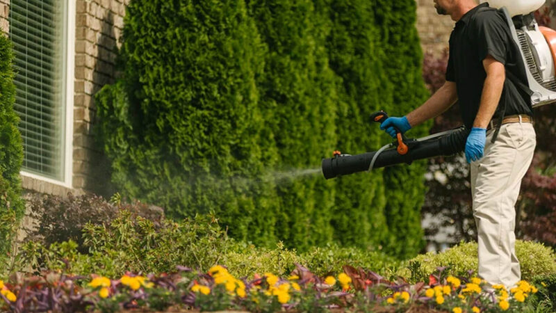 Achieve a Healthy Green Yard with a lawn fertilizer service Bartlett, TN residents trust for lush results
