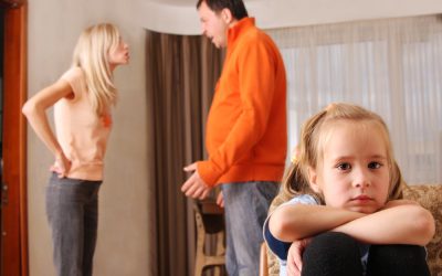 Secure Child Custody Solutions with a Family Lawyer Pocatello, ID Residents Trust