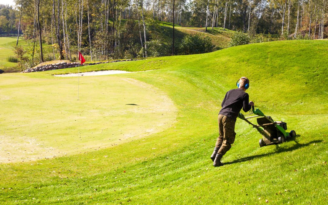 Maintenance Tips for Keeping Your Artificial Putting Green in Pristine