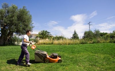 Transform Your Yard with Lawn Care Services Homeowners Trust Most