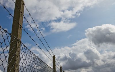 How Chain-link Fencing in Bowling Green, KY, Provides Reliable Yard Security and Peace of Mind