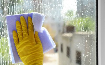 Expect Consistently Clean Results From Local Home Cleaning Services In Sisters, OR