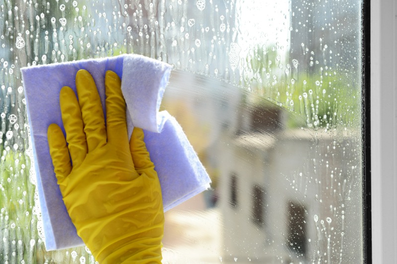 Expect Consistently Clean Results From Local Home Cleaning Services In Sisters, OR