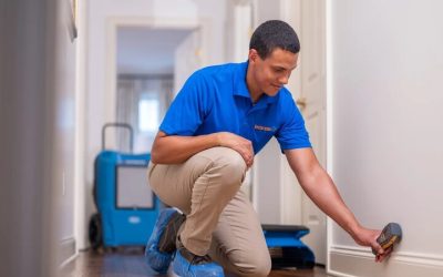 Protect Your Home From Health Risks With Mold Remediation in Berthoud, CO Experts
