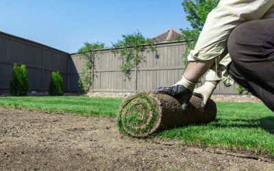 How to Incorporate Water Features into Your Buckeye Landscape Design
