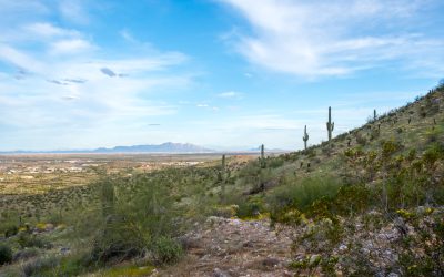 Transform Your Future by Buying Vacant Land For Sale California