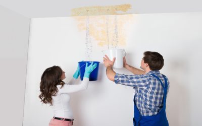 How a Water Damage Restoration Company St. Pete Beach, FL Saves Your Home Fast