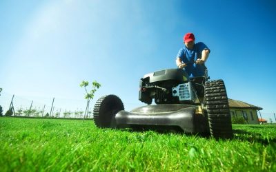 How Regular Irrigation Maintenance Spring Hill, Fl Keeps Your Lawn Green All Year