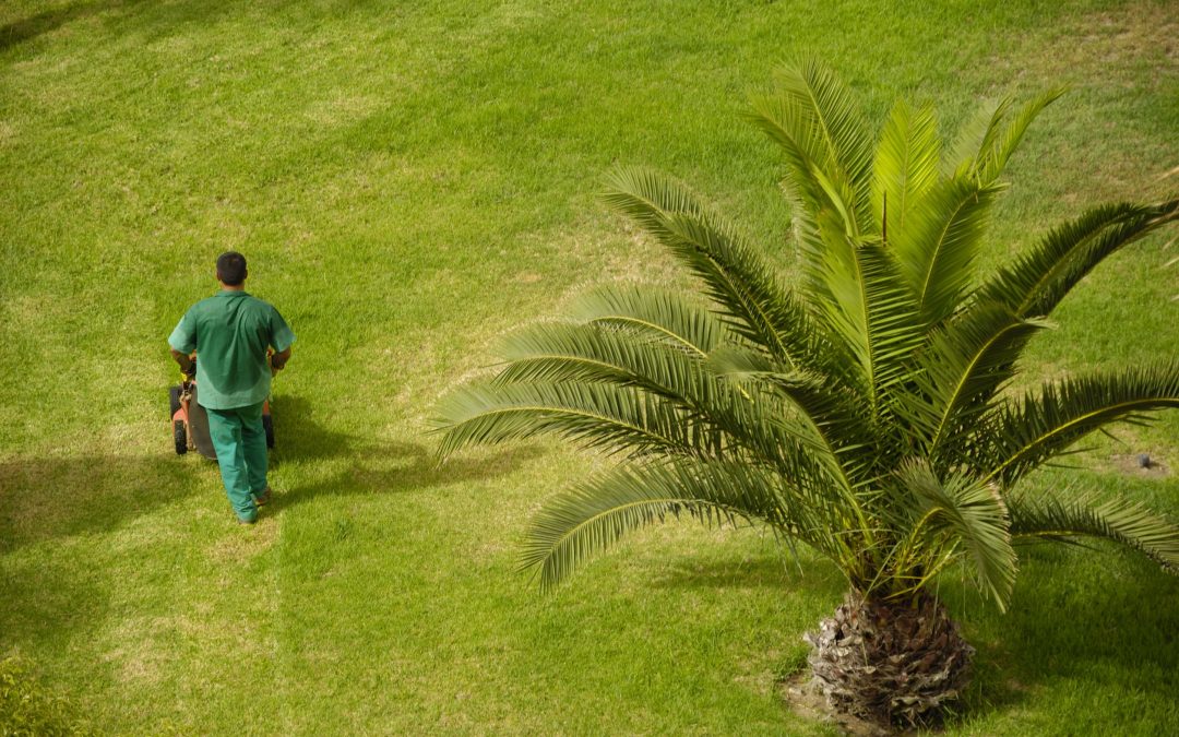 Improve property value with expert landscape maintenance Fort Worth, Tx services
