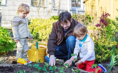 Boost Your Home Value With a Trusted Landscaping Company Hilo, HI Locals Recommend
