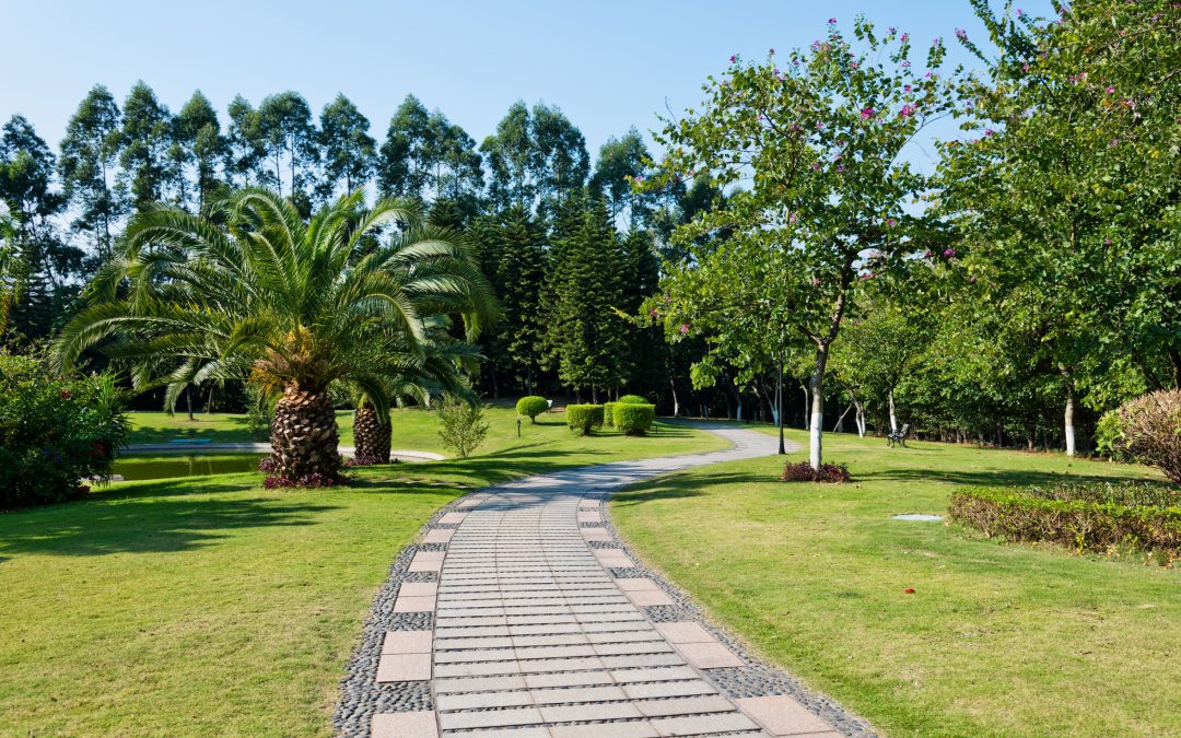Enjoy Low Maintenance Gardens Designed by a Landscape Contractor in Murrieta CA