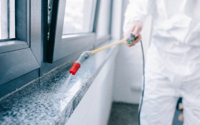Say Goodbye to Home Invaders with Pest Control Services in Land O Lakes FL, Solutions