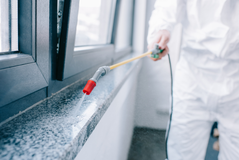 Say Goodbye to Home Invaders with Pest Control Services in Land O Lakes FL, Solutions