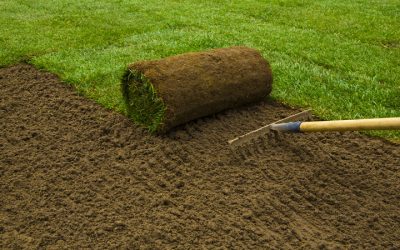 Achieve a Lush Backyard Oasis with Bermuda Grass Lawn Care, Murrieta, CA Solutions