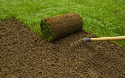 Easy Ways to Increase Curb Appeal Using Fake Turf in Chandler, AZ, in Your Neighborhood