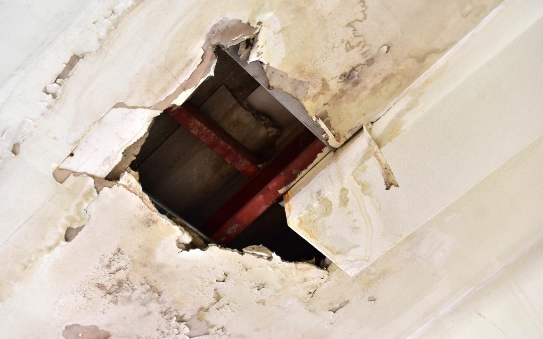 Protect Your Home from Costly Repairs with Water Damage Restoration Services in Kansas City, MO
