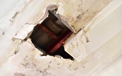 Protect Your Home from Costly Repairs with Water Damage Restoration Services in Kansas City, MO