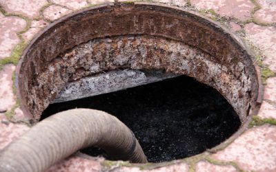 Protect Your Home From Hazards With Expert Sewage Cleanup in Downers Grove, IL