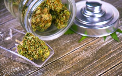 Experience the Difference Premium THCA Flower Brings to Relaxation and Wellness