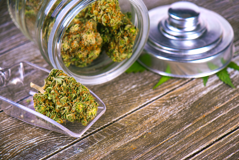 Experience the Difference Premium THCA Flower Brings to Relaxation and Wellness