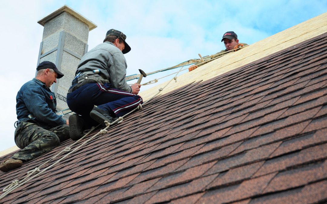 How Whole-Home Termite Tenting Can Affect a Tile Roof