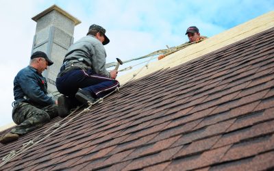 How Whole-Home Termite Tenting Can Affect a Tile Roof