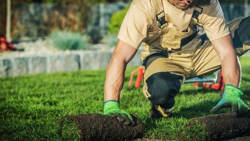 Planning a Home Irrigation System for Newly Installed Landscapes in Peoria
